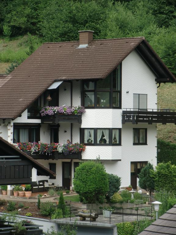 Ferienwohnung Uli Schaetzle ホルンベルク エクステリア 写真