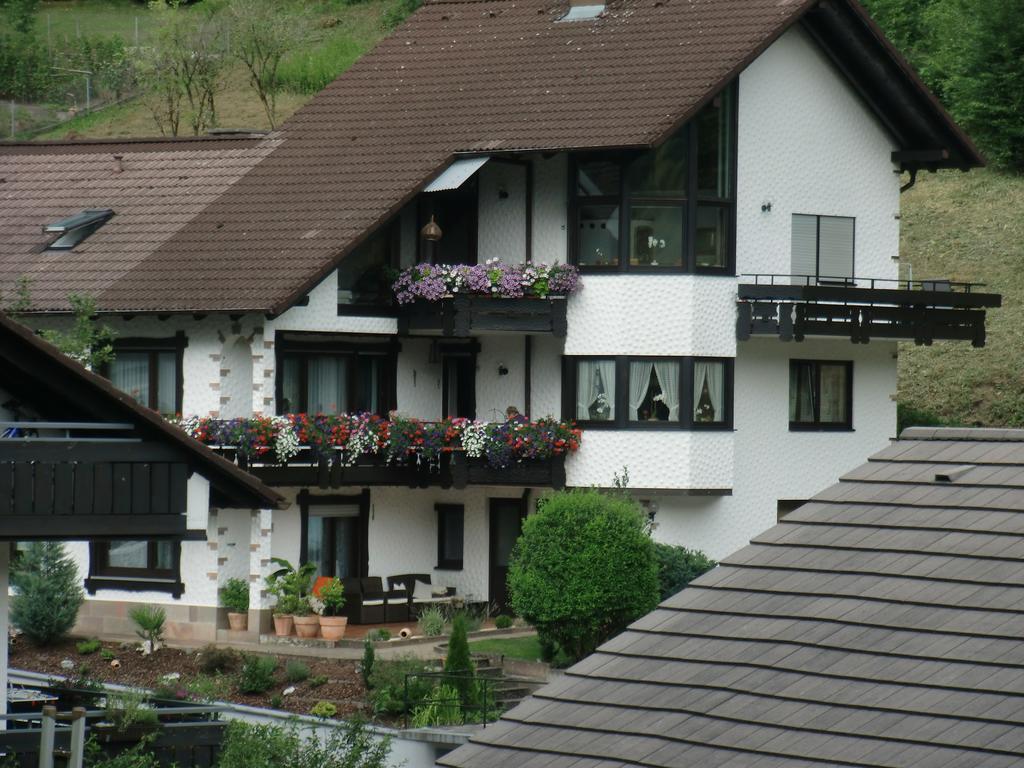 Ferienwohnung Uli Schaetzle ホルンベルク エクステリア 写真